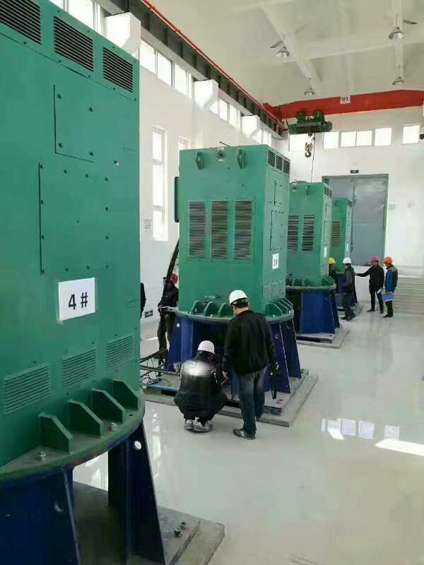 JR125-6某污水处理厂使用我厂的立式高压电机安装现场
