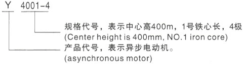 西安泰富西玛Y系列(H355-1000)高压JR125-6三相异步电机型号说明